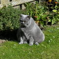 Momo 15 Jahre