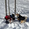 Best Friends for ever !