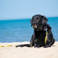 Dein letzter Urlaub in Dänemark.