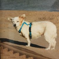 An deinem Lieblingsstrand an der Ostsee 2019