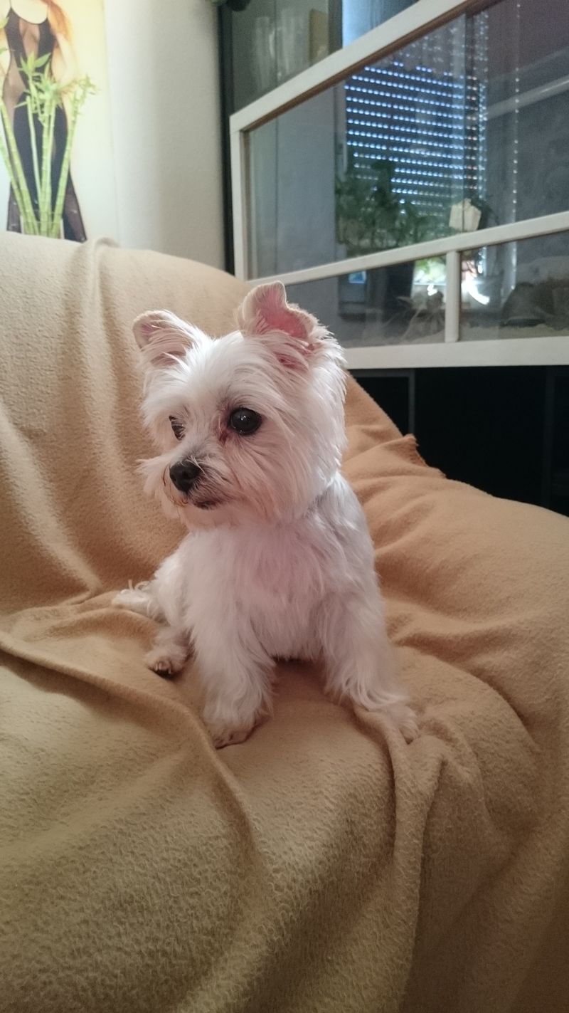 Missy Augenblicke Erinnerungen An Dich Sind Unser Trost Und