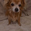 Mein freund lou