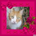 Elvis - für immer geliebt und unvergessen ❤❤
