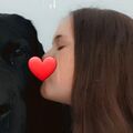 Mein geliebter Hund ❤️