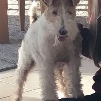 Mausi mit 11 Jahren, beim Ball spielen, mit meiner Nichte