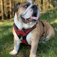 Manno schon wieder posieren :-)