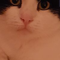Mein Baby, geliebt und unvergessen, für immer in meinem Herzen ?