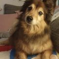 Mein kleiner süßer Schatz!!!