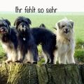 Ich wünsche dir von Herzen ♥️ ganz viel Kraft