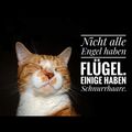 Dem Auge so fern , dem Herzen  so nah 