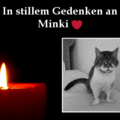 Minki ❤ für immer geliebt & unvergessen in Andreas ❤