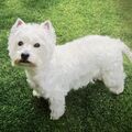 Lili, mein Engelchen 