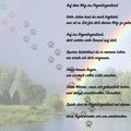 Ein Jahr ohne dich ????????