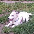 Tessy
 23.09.1997 - 16.06.2014