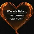 ♥️♥️♥️♥️♥️♥️♥️♥️♥️