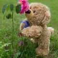 Küsschen von. Snowys Teddy ❤️