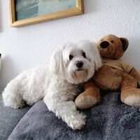 Unser Mäuschen