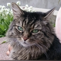 Mai 2009 - Mai 2023