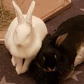 Finja und Candy, wieder zusammen 