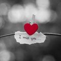 In ewiger Liebe ❤ dein Frauchen 