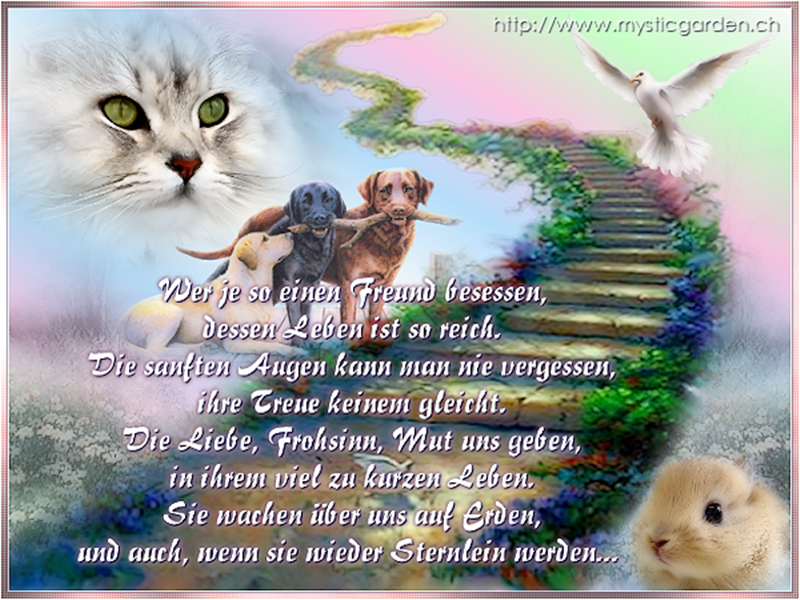 Download Hund spruch liebe HD